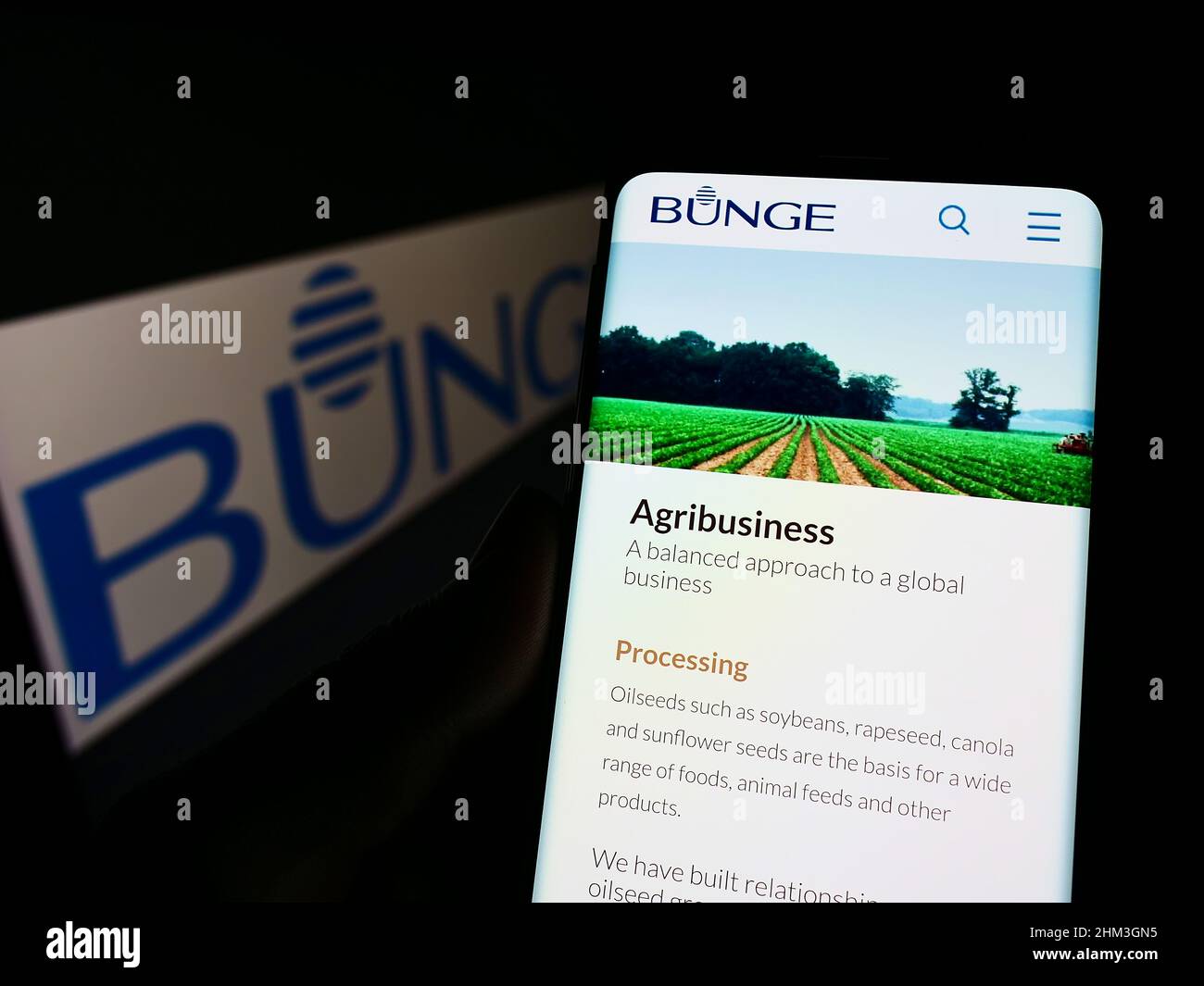 Person, die Smartphone mit der Webseite des Agrobusiness- und Lebensmittelunternehmens Bunge Limited auf dem Bildschirm vor dem Logo hält. Konzentrieren Sie sich auf die Mitte des Telefondisplays. Stockfoto