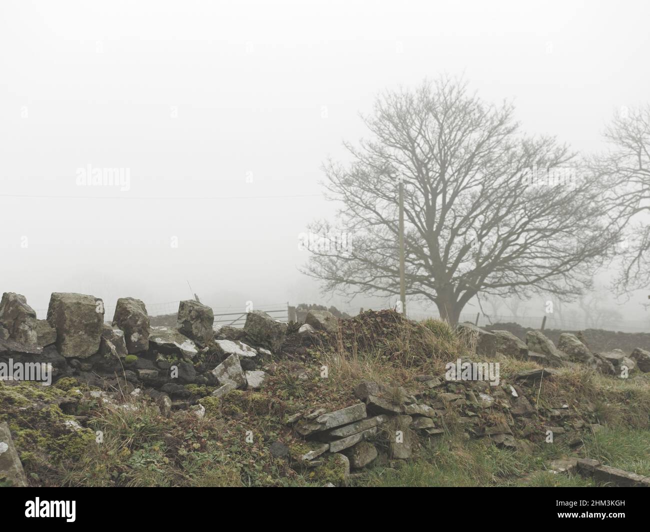 Llangeinor im Nebel Stockfoto