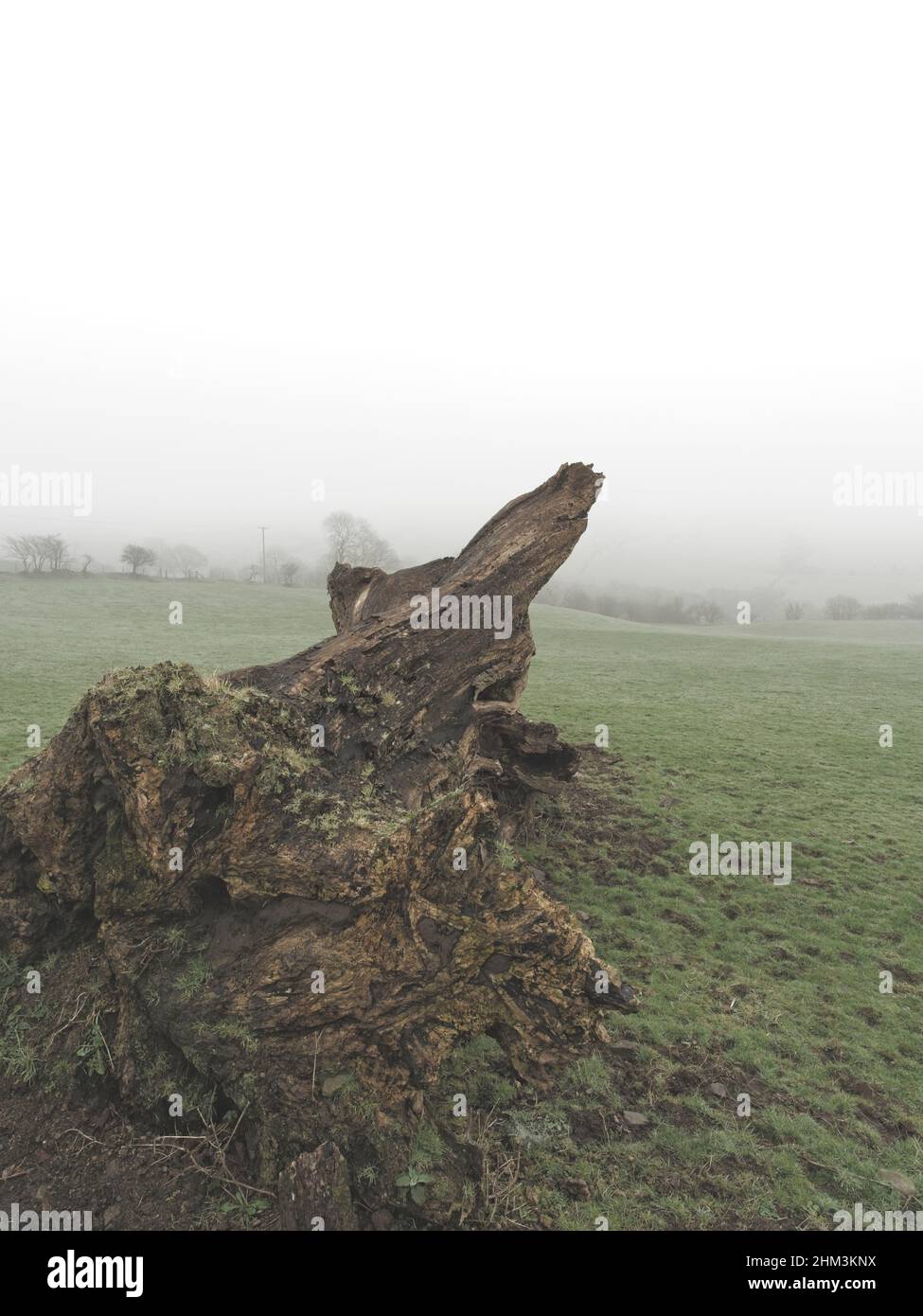 Llangeinor im Nebel Stockfoto