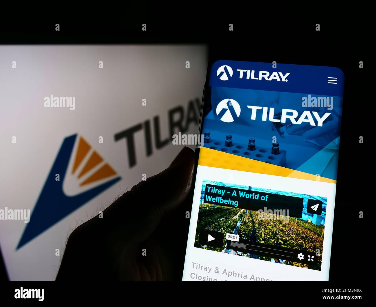 Person, die Mobiltelefon mit der Website des kanadischen Cannabisunternehmens Tilray Inc. Auf dem Bildschirm vor dem Logo hält. Konzentrieren Sie sich auf die Mitte des Telefondisplays. Stockfoto