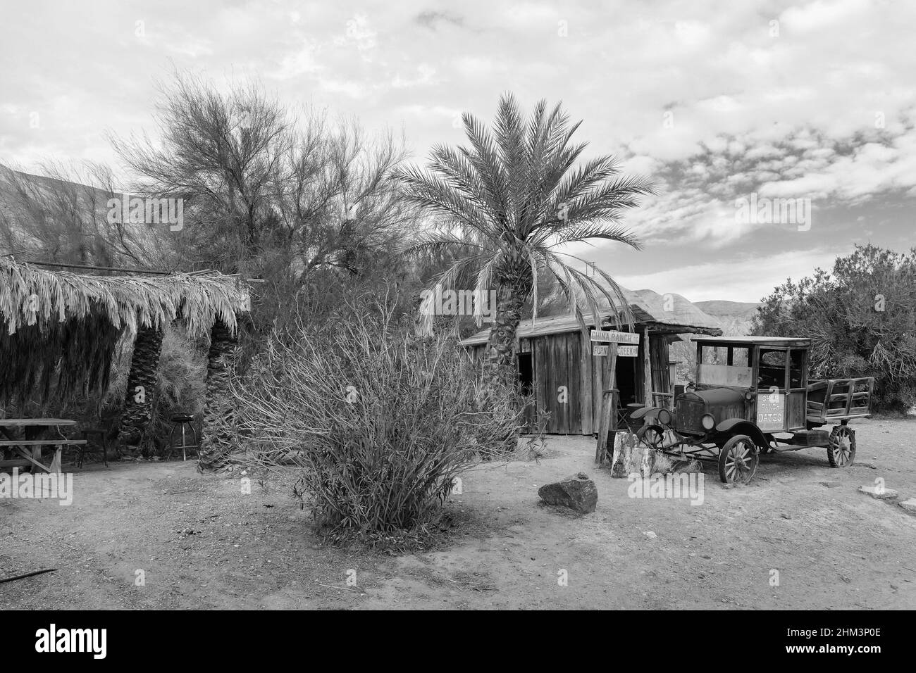 Alter Lieferwagen, Scheune und Dattelpalme auf der China Ranch Date Farm, Tecopa, Kalifornien. Schwarzweiß-Foto. Stockfoto