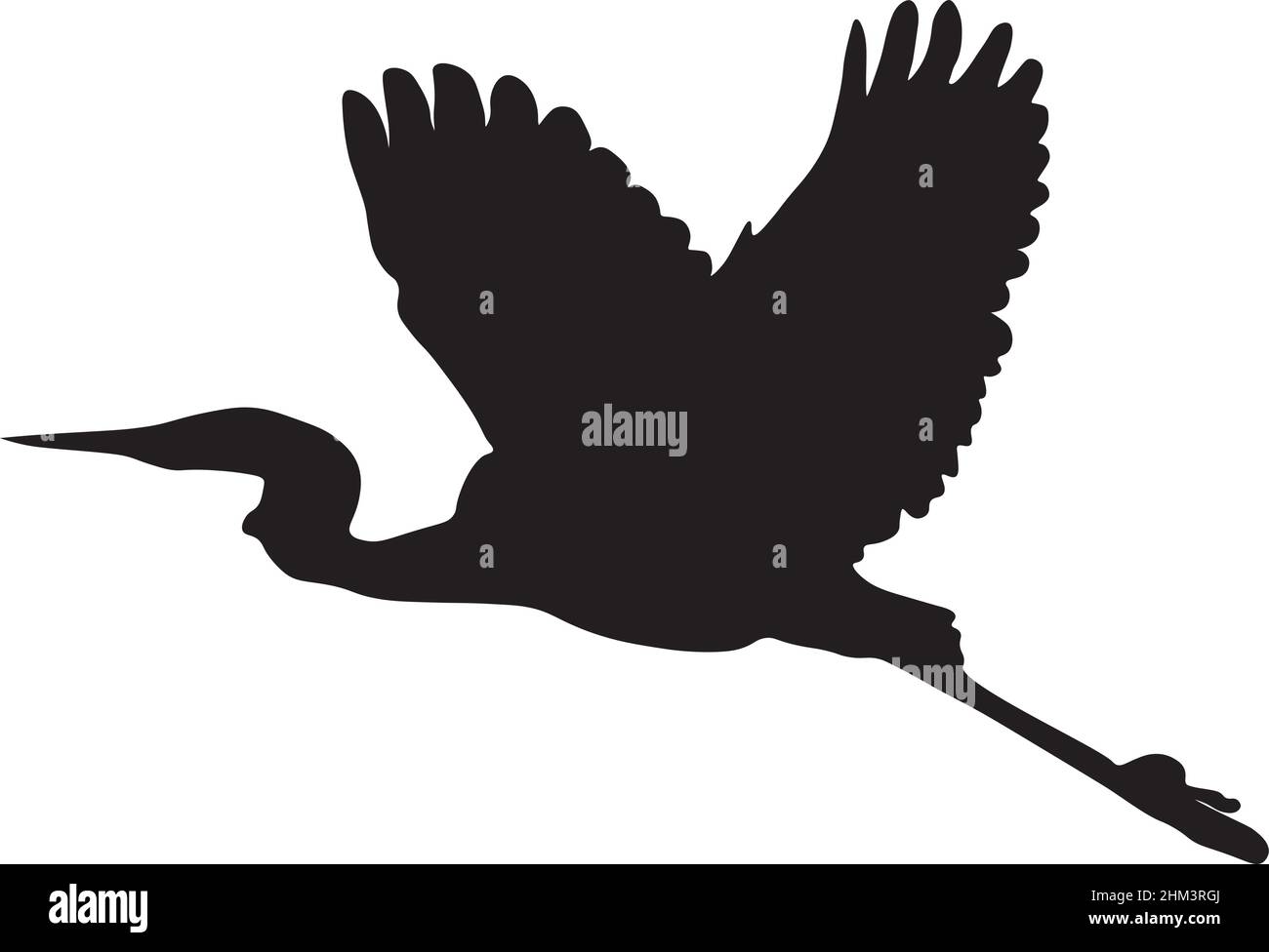Vektorbild eines Reihern im Flug, erstellt durch Isolieren des Umrisses des Vogels von einem Foto und Anwenden von schwarzer Füllung. Stock Vektor