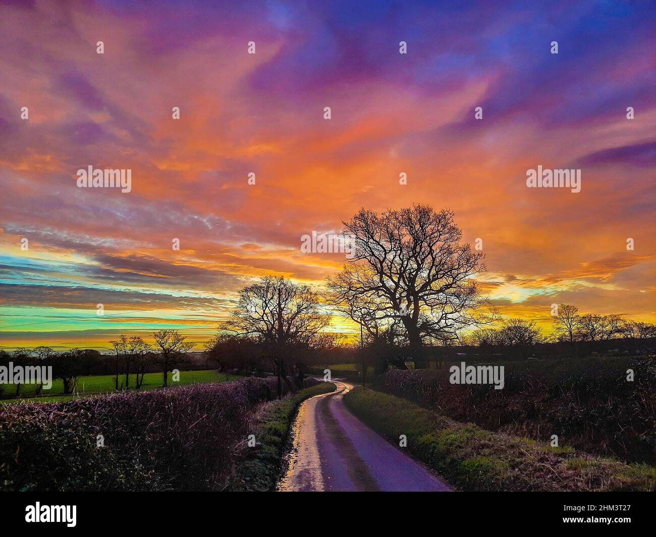Von Bäumen gesäumte, eisige Landstraße bei Sonnenaufgang, der farbige Himmel spiegelte sich im Eis. Stockfoto