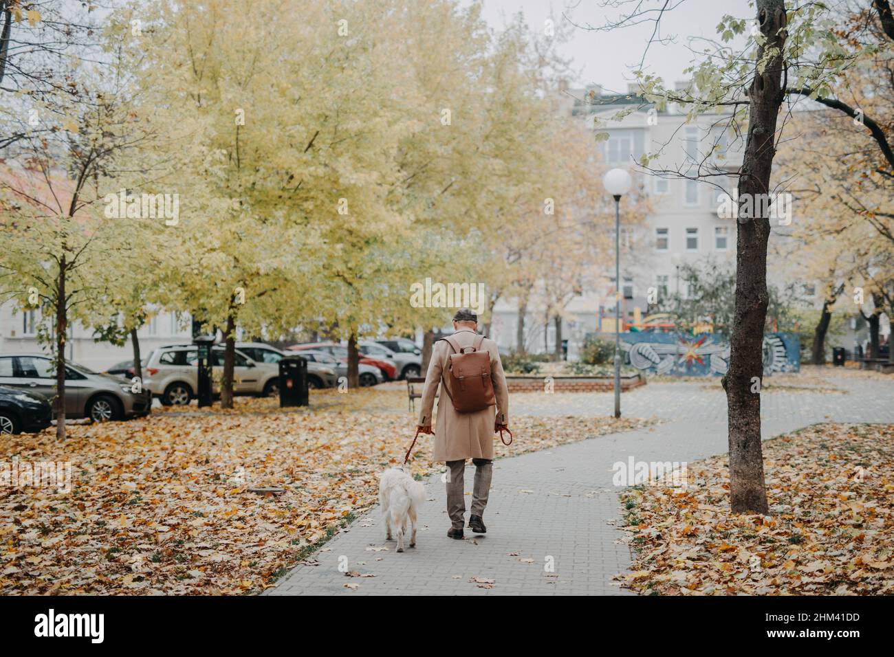 Rückansicht eines älteren Mannes, der am Herbsttag im Park mit seinem Hund unterwegs ist. Stockfoto
