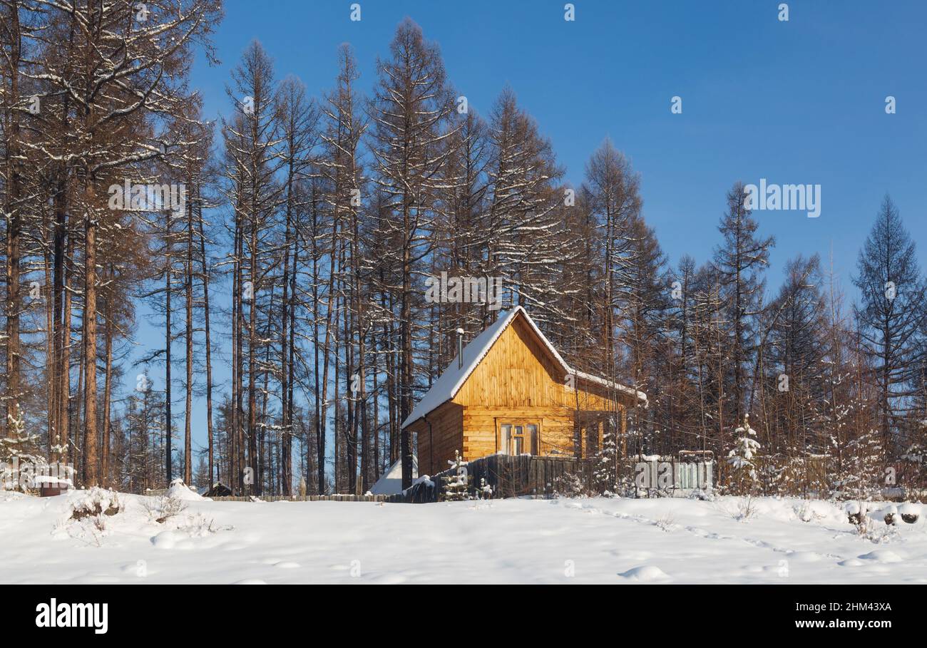 Kleines Ferienhaus im Winterwald, von der Sonne beleuchtet Stockfoto