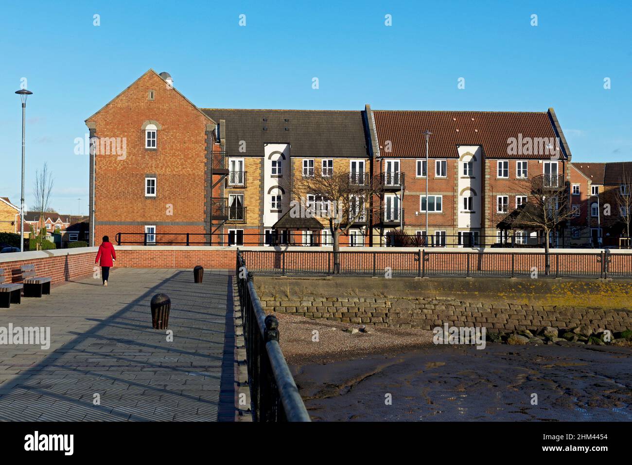 Wohnungen in Victoria Docks, Hull, Humberside, East Yorkshire, England Stockfoto