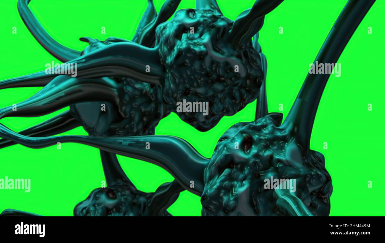 3D Illustration - Flurona, Doppelinfektion von Covid und Grippe. Mutiertes Coronavirus SARS-CoV-2. Stockfoto