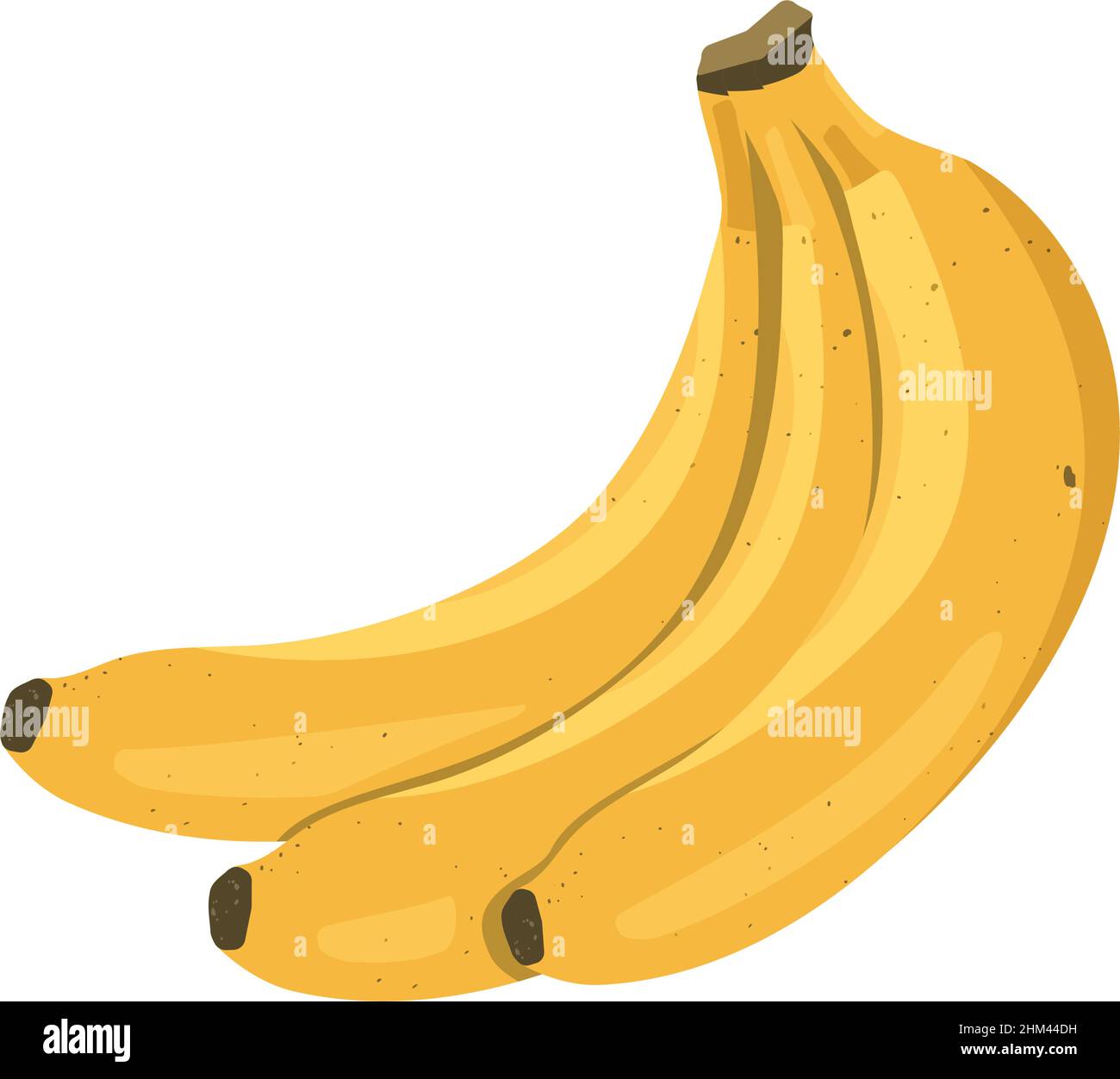 Ein paar gelbe Bananen. Köstliche gesunde exotische Früchte. Vektorgrafik für flache Lebensmittel Stock Vektor