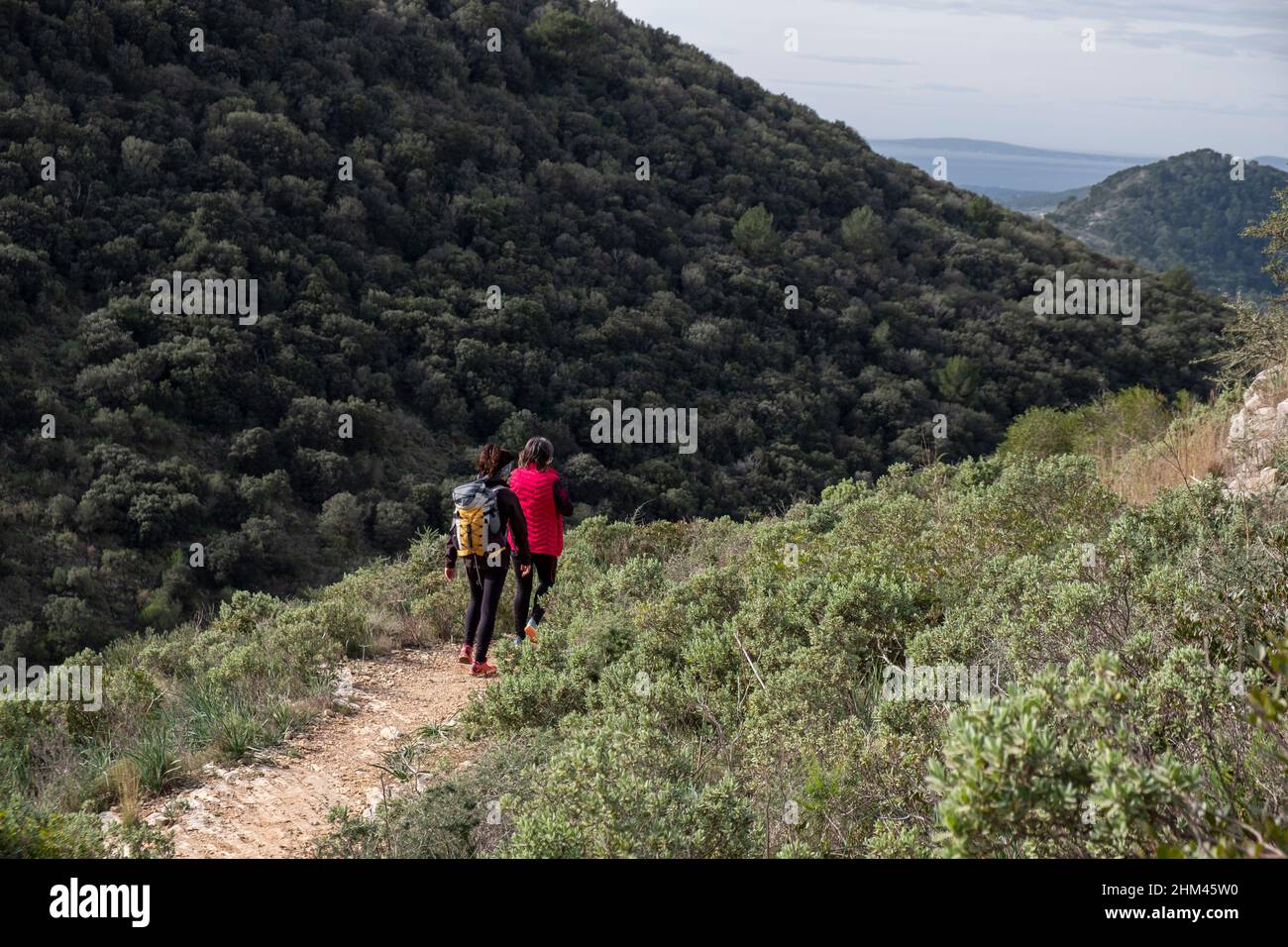 Familienwanderungen in Puig de Cura, Randa, Algaida, Randa, Algaida, Mallorca, Balearen, Spanien Stockfoto