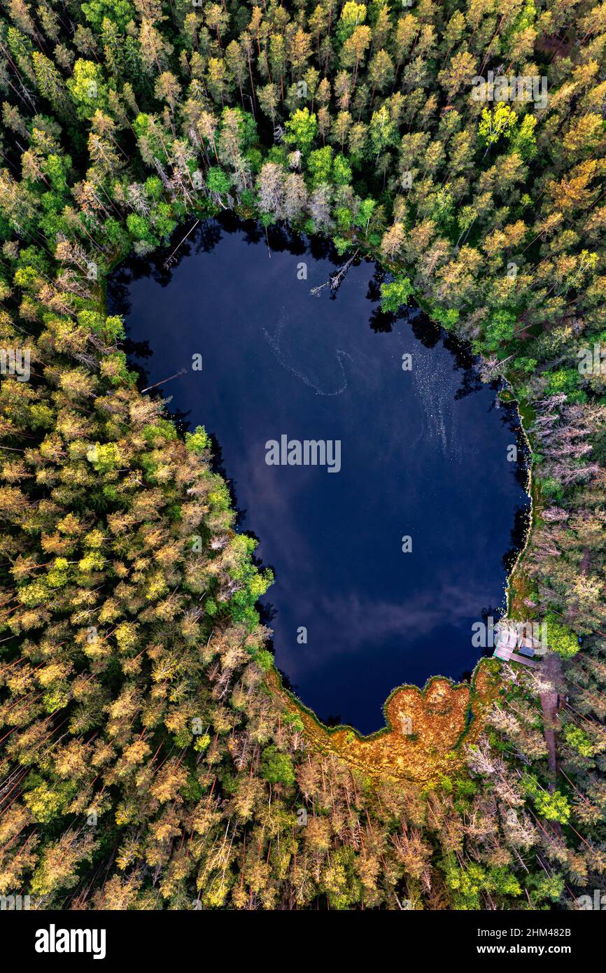 Luftaufnahme des wilden Waldsees in Europa. Versteckter See im Wald Stockfoto