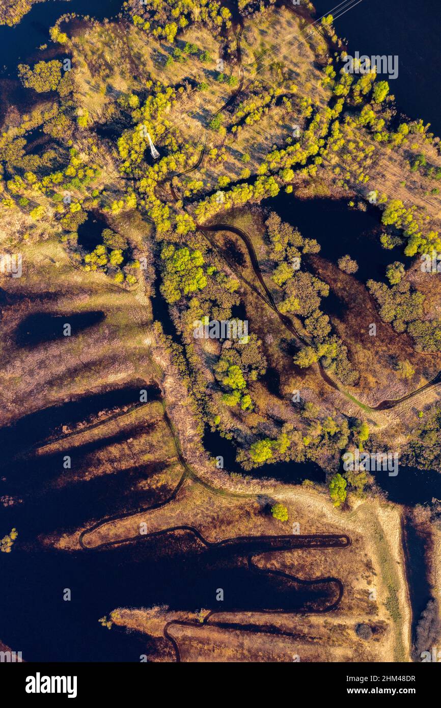 Luftaufnahme der Flutflutgebiete des Pripyat-Flusses. Flusswiesen im Frühling Stockfoto