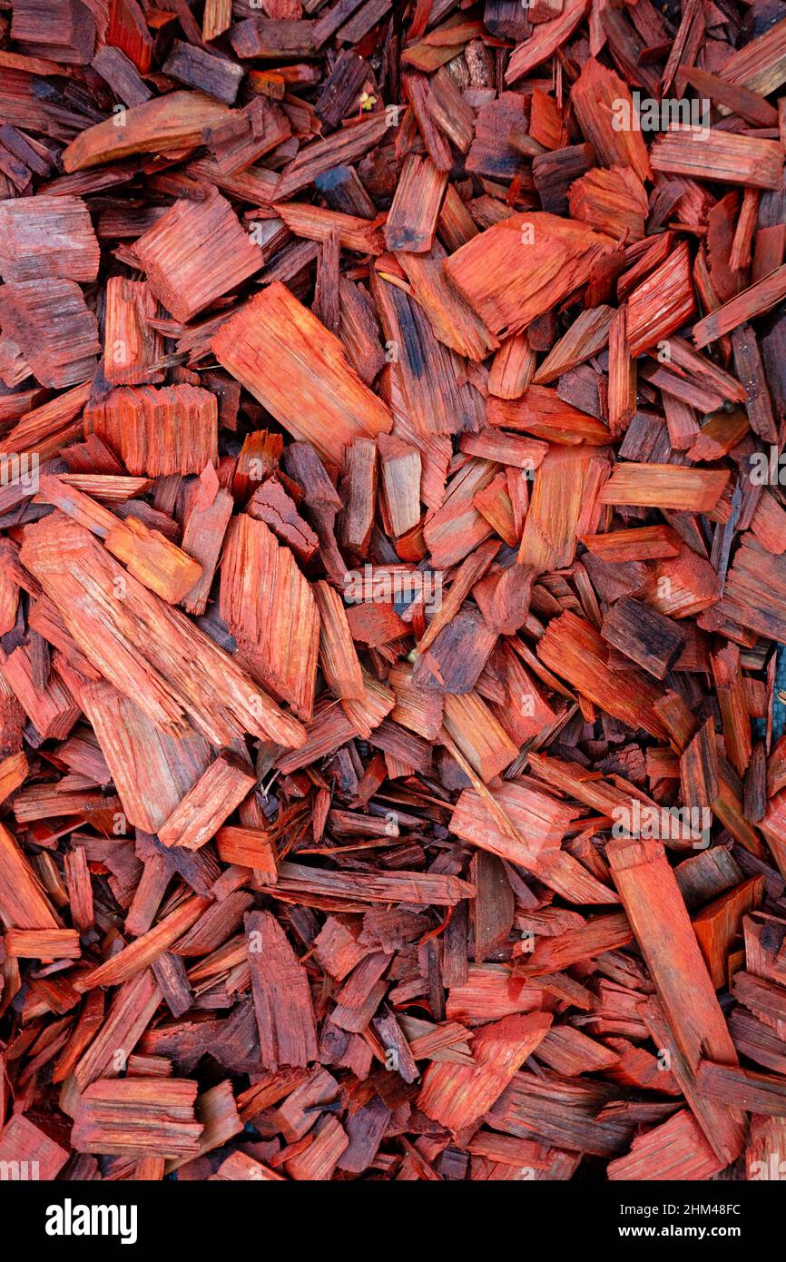 Red Pine Splitter Transplantat Textur Hintergrund von oben Stockfoto