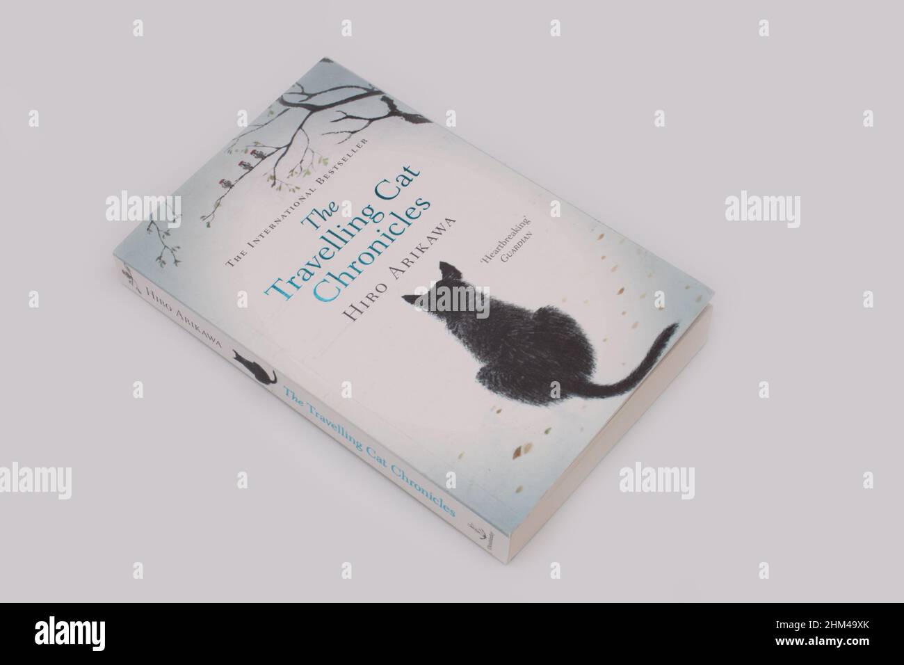 Das Buch The Travelling Cat Chronicles von Hiro Arikawa Stockfoto