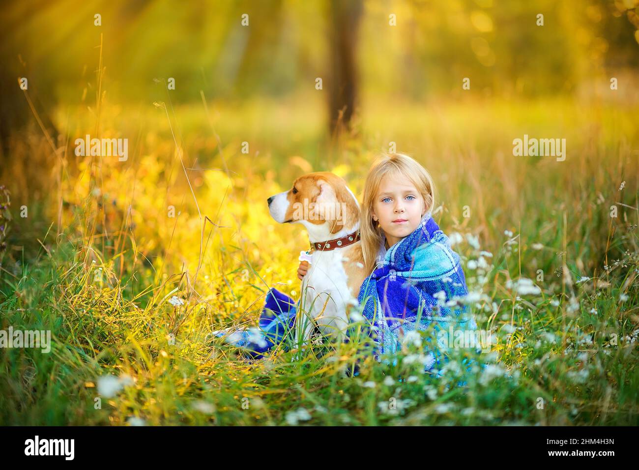 Das süße Mädchen geht bei Sonnenuntergang mit ihrem Beagle-Welpen in einen Park, sitzt hinter einer karierten Decke und umarmt einen Hund, beste Freundin Stockfoto