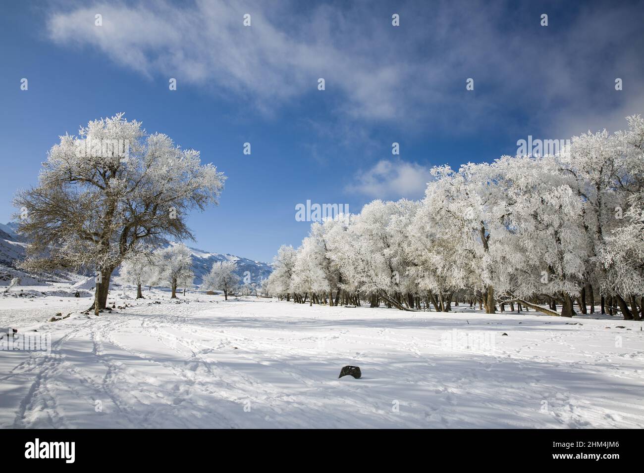 Die Landschaft in Xinjiang Stockfoto