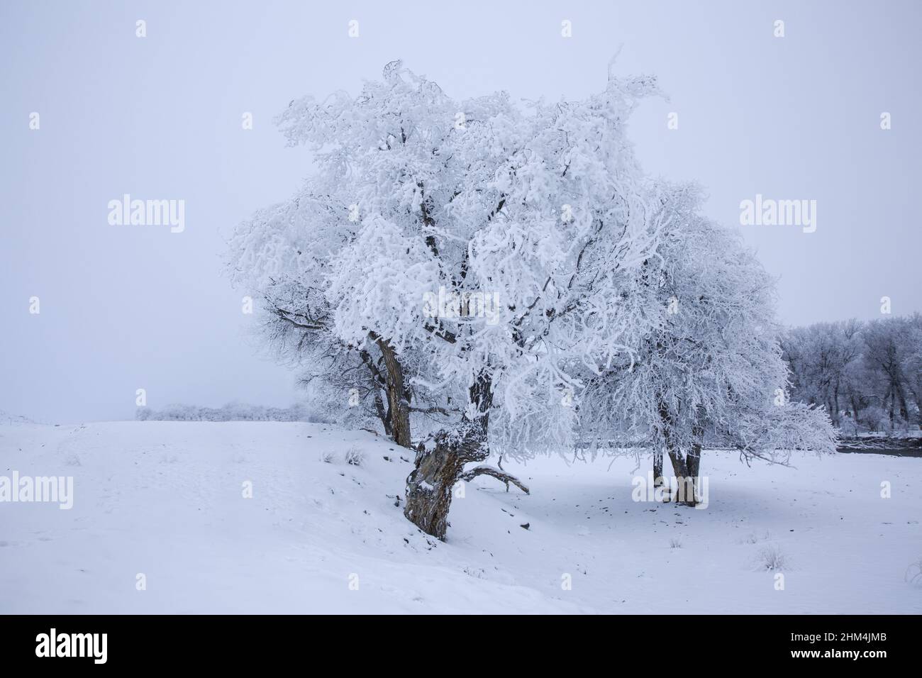 Die Landschaft in Xinjiang Stockfoto