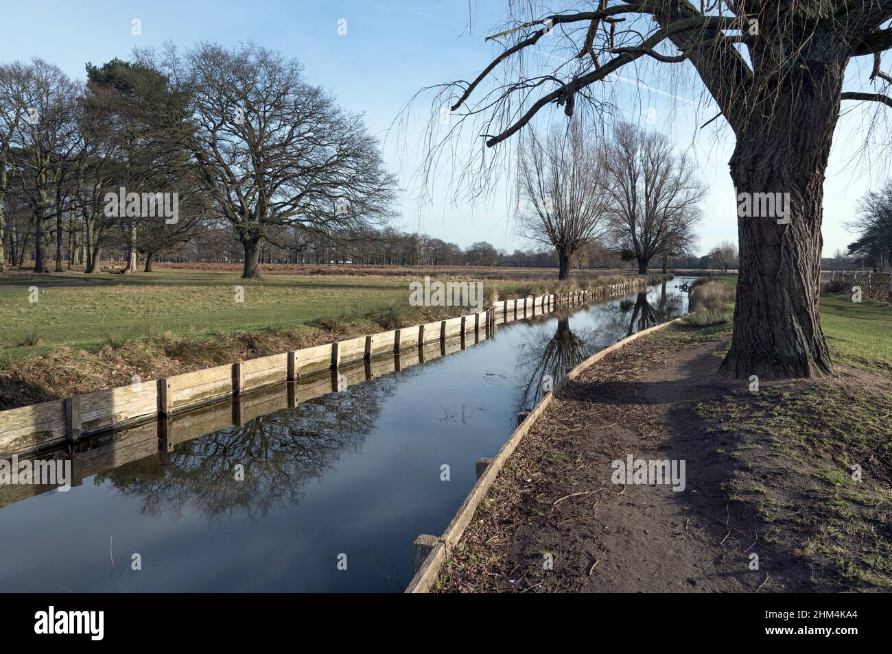 Bach zwischen Heron und Leg of Hammelteiche im buschigen Park Surrey Stockfoto