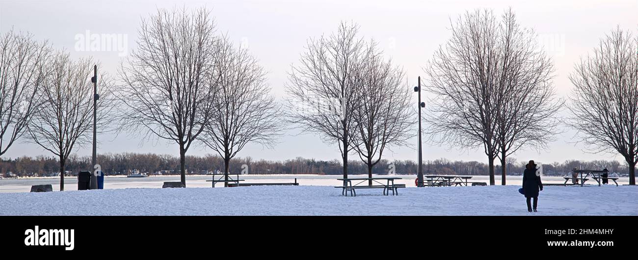 Panoramablick auf das Seeufer am Hafen mit der Silhouette von Bäumen. Banner Hintergrund der Winterlandschaft Stockfoto