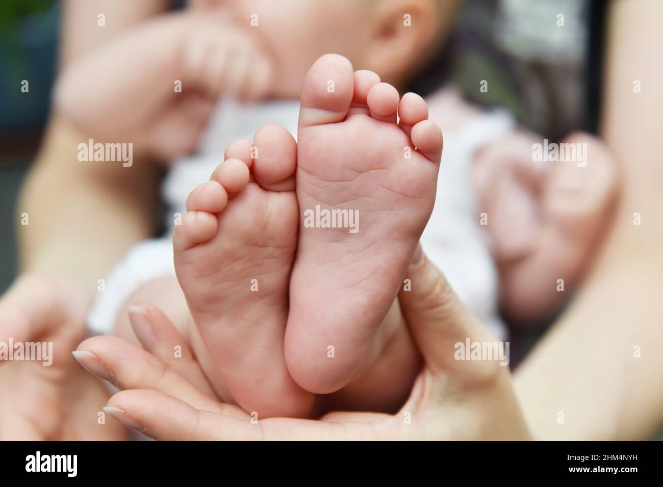 Babyfüße, ein Elternteil fasst ihre neugeborenen Babyfüße in die Hand. Stockfoto
