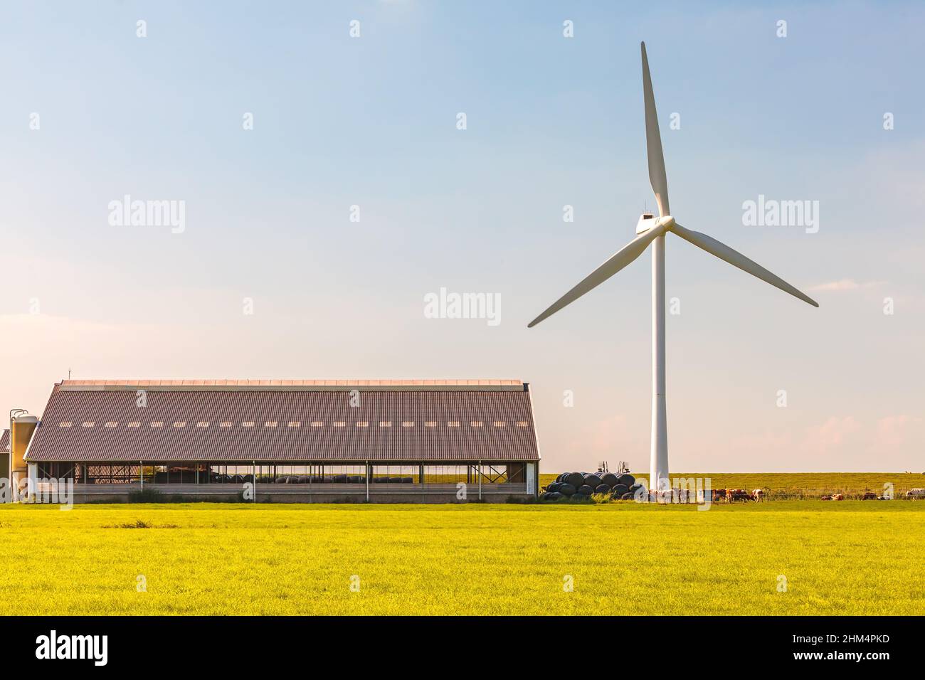 Holländisches modernes Bauernhaus mit Windturbine Stockfoto
