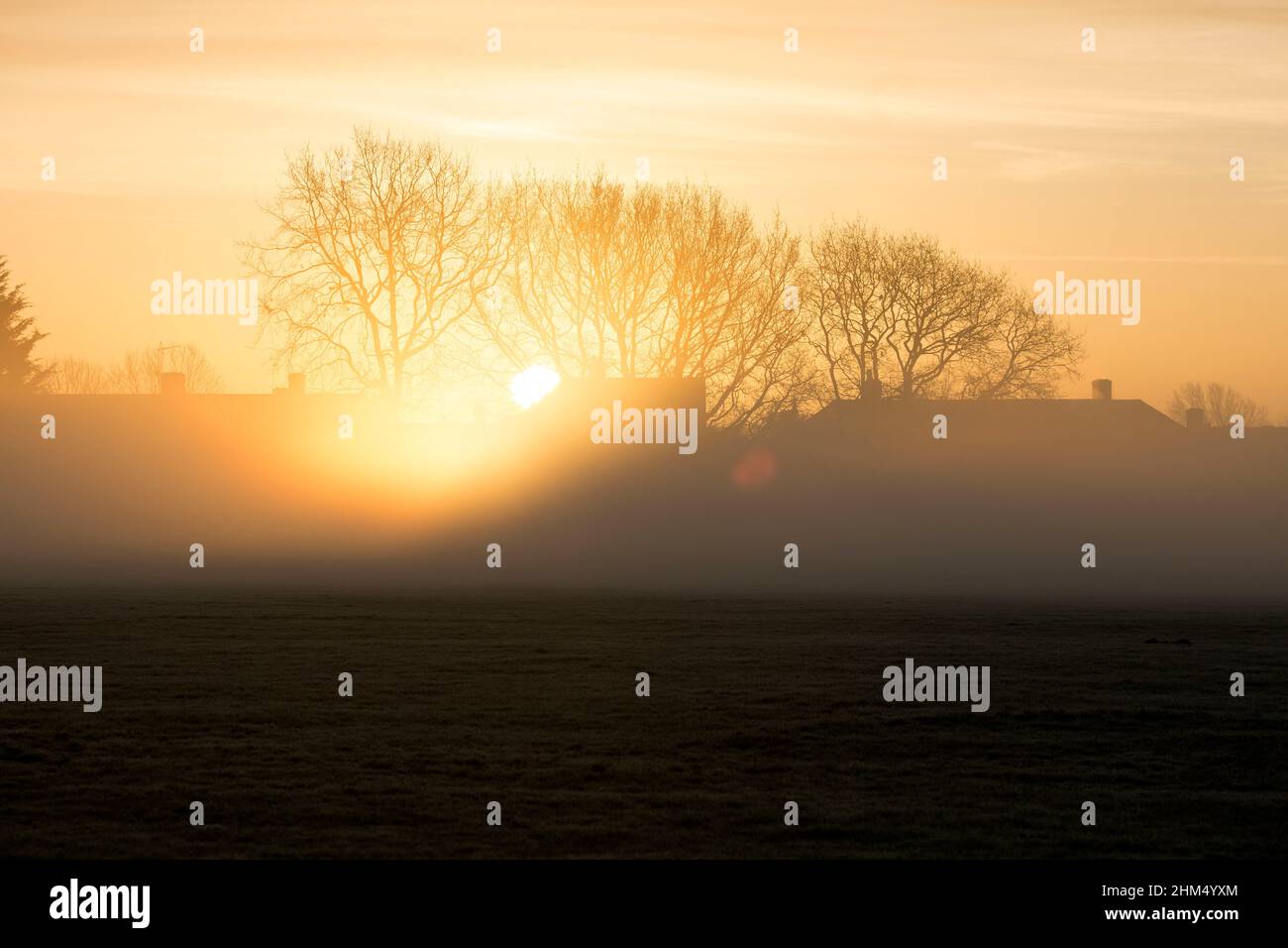 Die Sonne geht morgens in einem nebelbedeckten Park in Ilford, East London, auf, wenn die Temperatur gesunken ist. Stockfoto