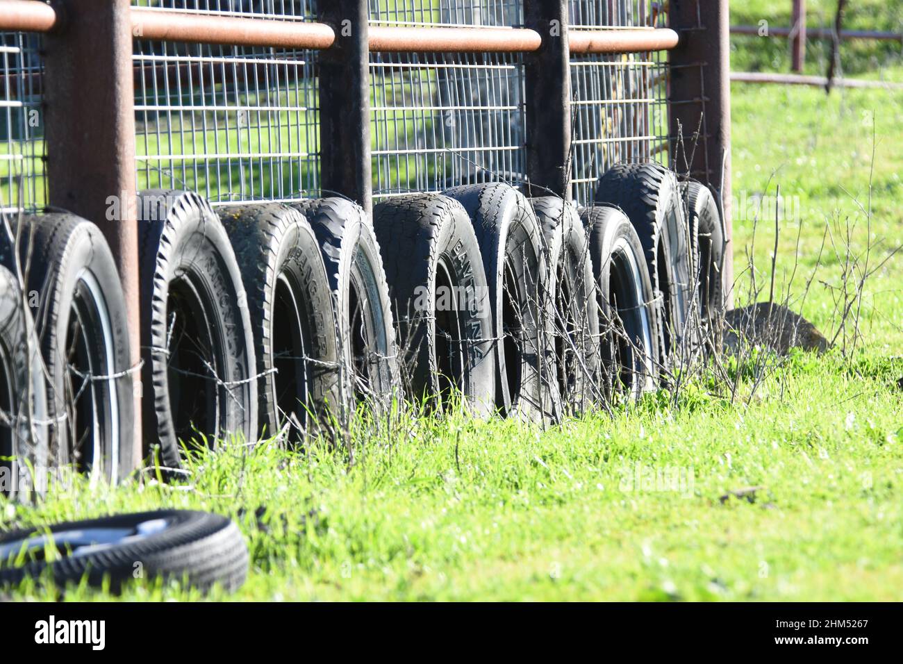 Viehzäune auf Ranch aus Ölpumpenrohr und alten abgenutzten Reifen zur Kontrolle von Rindervieh für den Versand. Wiederverwenden wiederverwenden stark sicheres Recycling Stockfoto