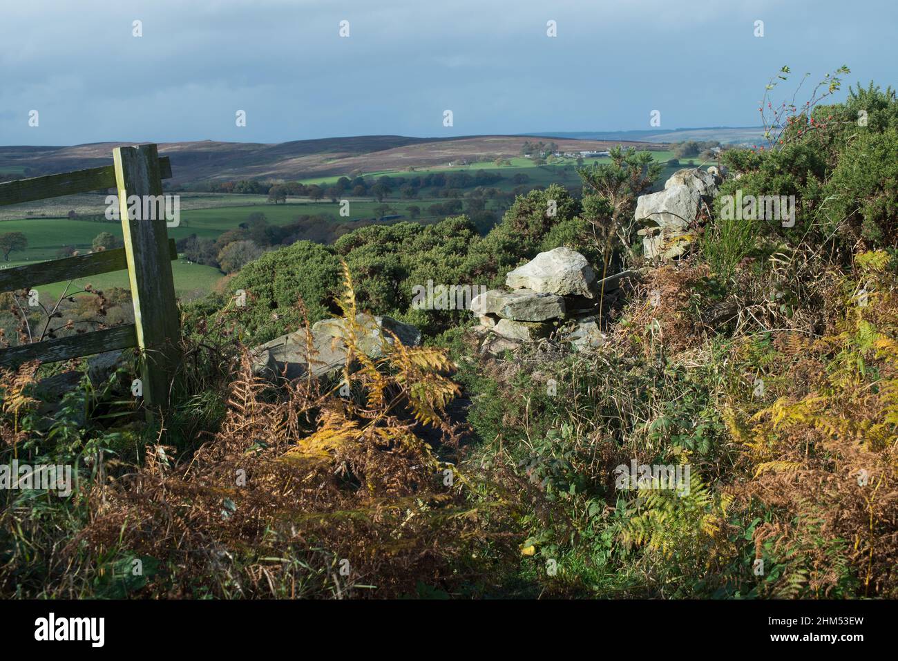 Blick über eine bröckelnde Trockensteinmauer mit Zaun zur Seite über Ackerland und Moore in der Grafschaft Durham Stockfoto
