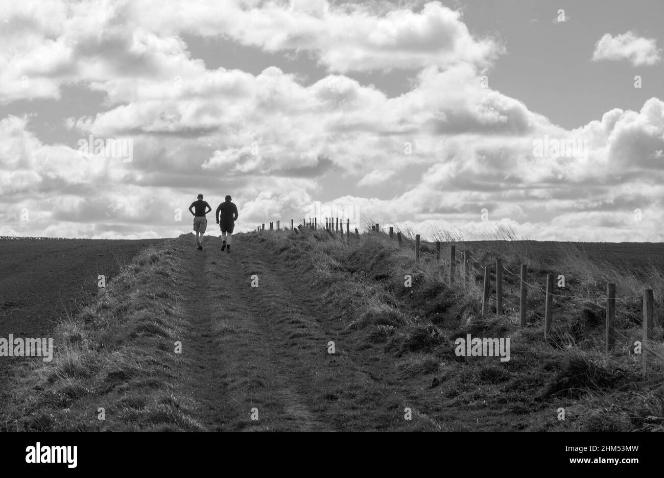 Monobild von zwei Männchen, die mit einem Zaun rechts über Felder zum Horizont joggen und gegen die Wolken silhouettiert wurden Stockfoto