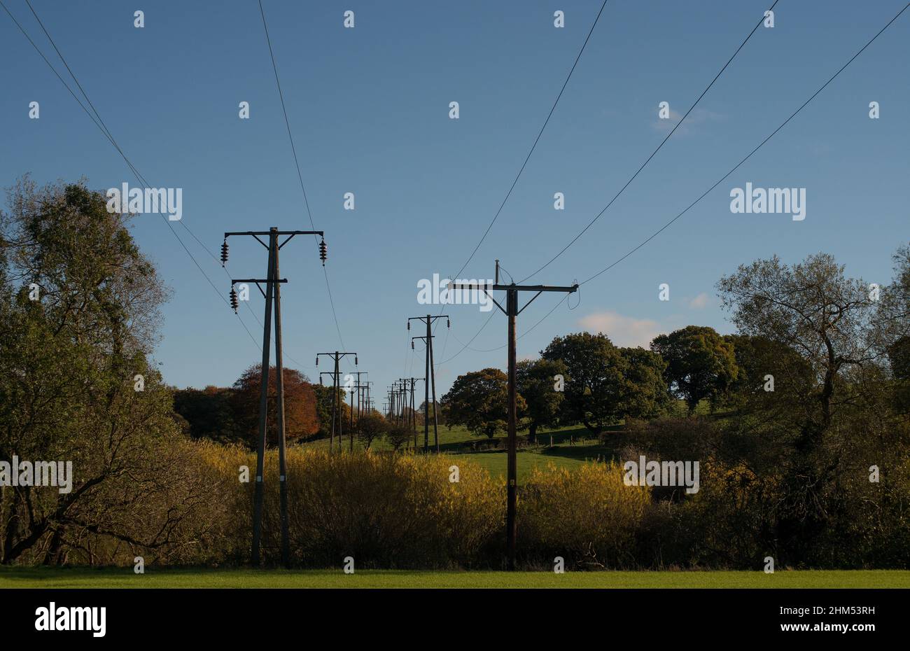Zweireihige Stromleitungen auf hohen Pylonen, die sich bei herbstlicher Sonne bis in die Ferne erstrecken Stockfoto