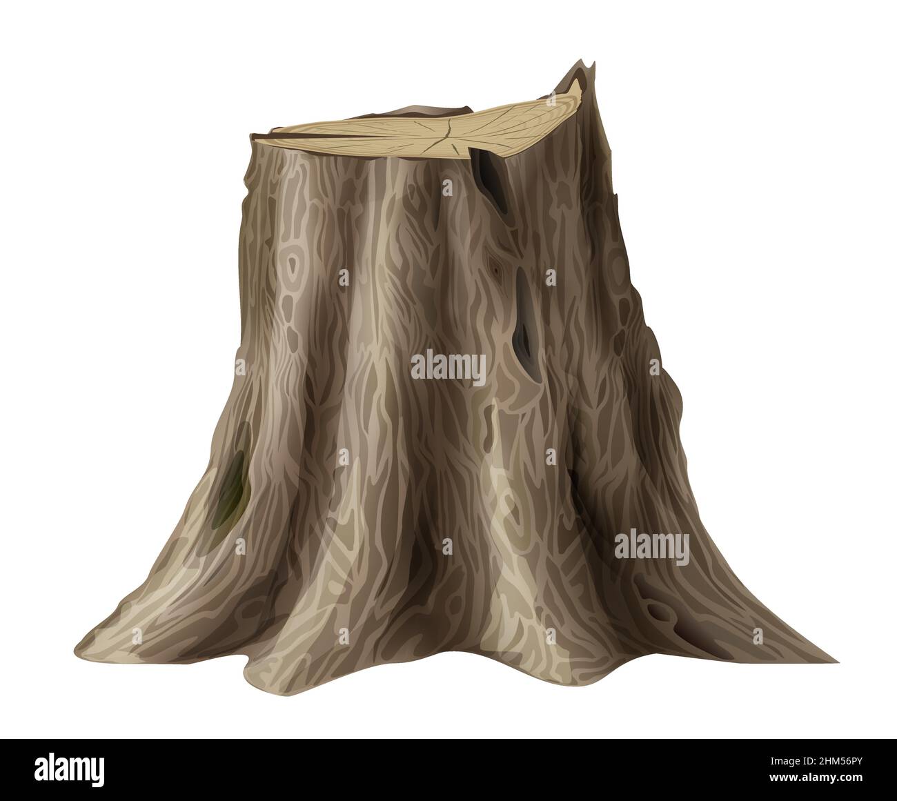 Vektorgrafiken. Großer alter Baumstumpf Eiche gebrochener Stamm. Waldlandschaft Stock Vektor