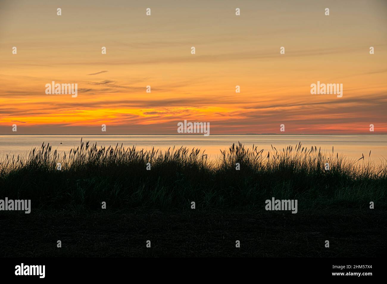 Silhouette von Dünengras gegen das Meer und die aufgehende Sonne, Hvidbjerg, Dänemark, 12. September 2021 Stockfoto