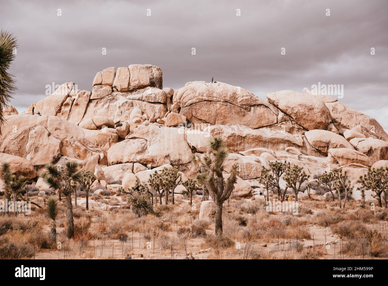 Den Rocky Mountain erklimmen Stockfoto