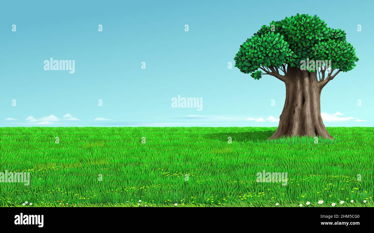 Alte Eiche auf einer grünen Feldlandschaft Stock Vektor Alte Eiche auf einer grünen Feldlandschaft Stock Vektor