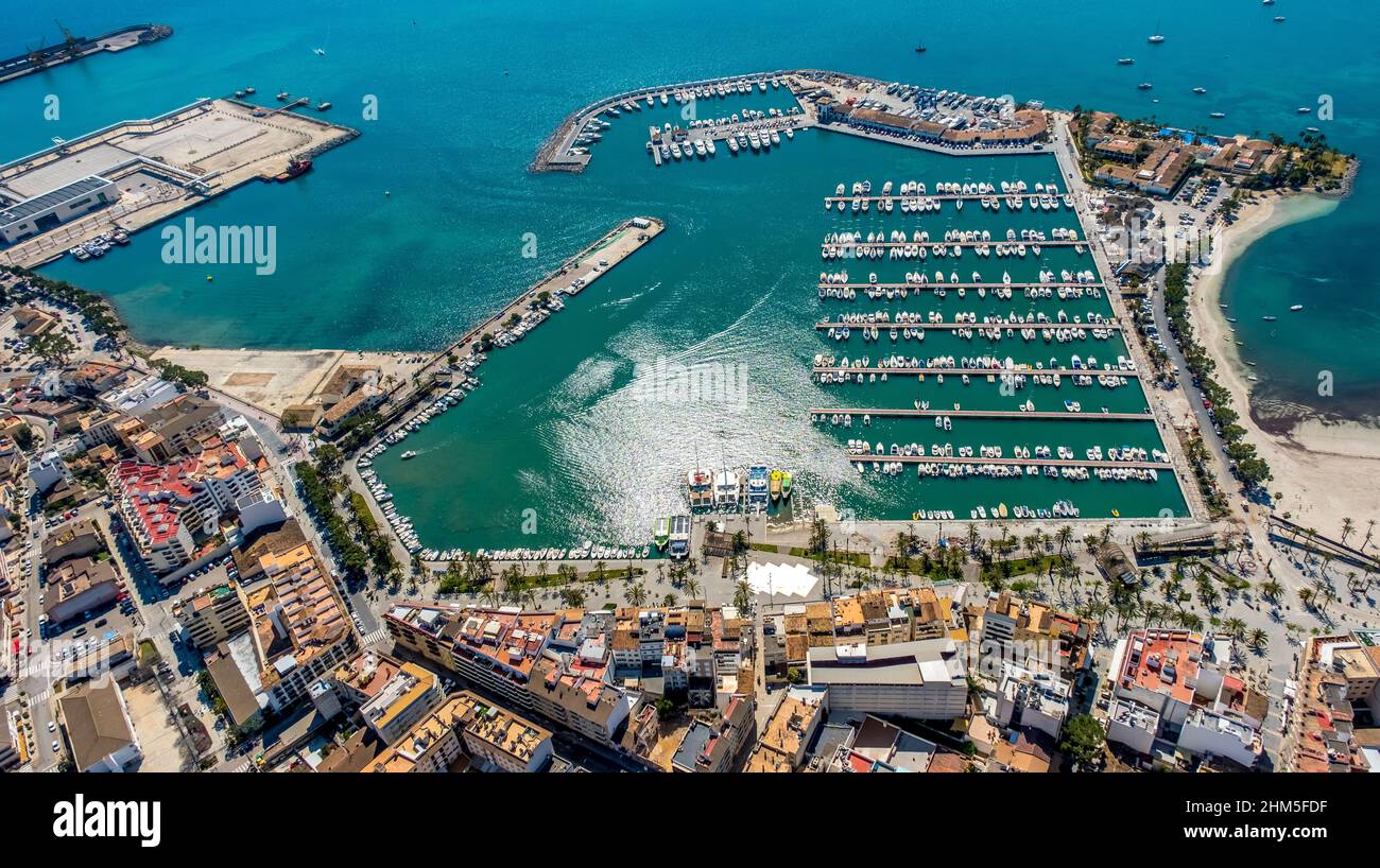 Luftbild, Hafen von Alcudia, Yachthafen, Segelboote, Port d'Alcúdia, Türkisfarbenes Wasser, Alcudia, Pla de na Tesa, Cabaneta (Sa), Mallorca, Baleareninsel, B Stockfoto