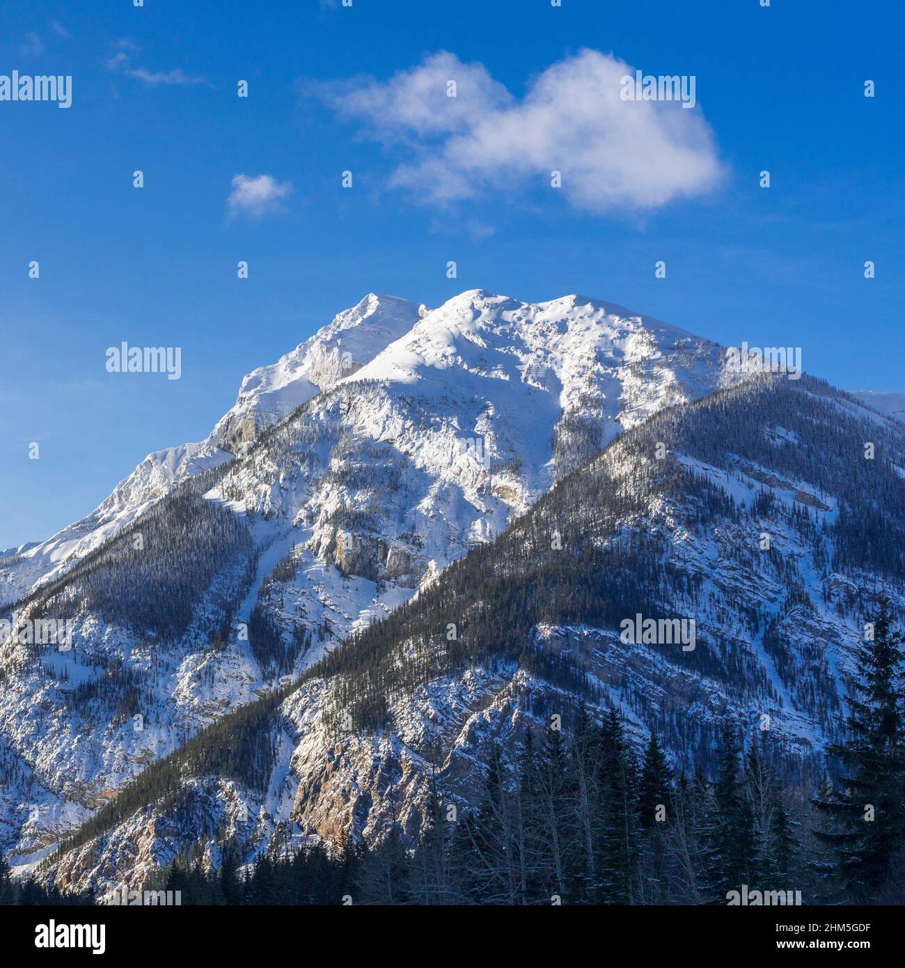 Mount Field vom Aussichtspunkt des Lower Spiral Tunnel auf dem TransCanada Highway in der Nähe des Kickng Horse Pass, British Columbia, Kanada. Stockfoto