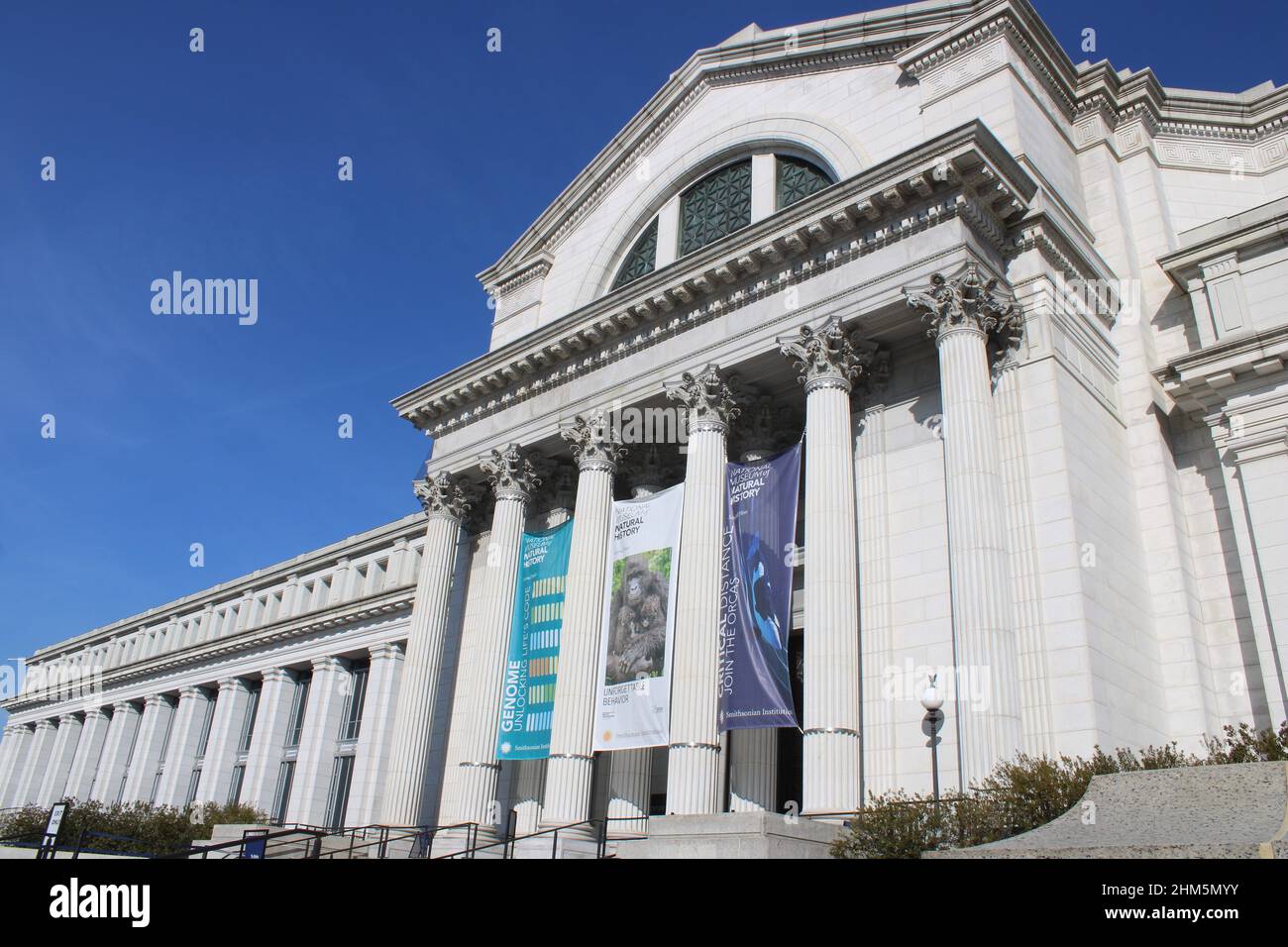 Eingang zum National Museum of Natural History, einem Smithsonian Museum, in Washington, DC Stockfoto