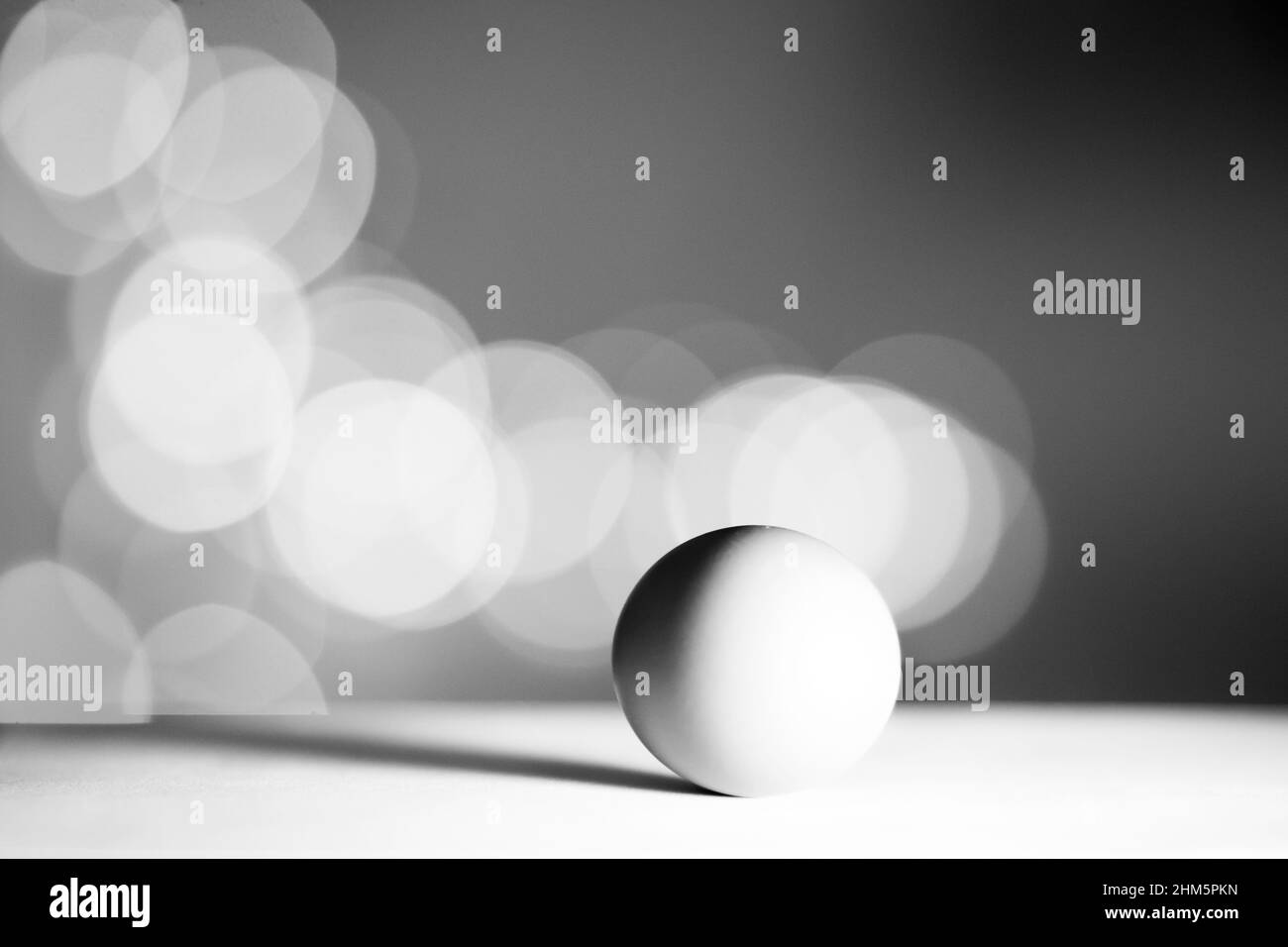Einzelnes Ei isoliert von weißem Hintergrund. Schwarz-Weiß-Konzept. Nahaufnahme Stockfoto