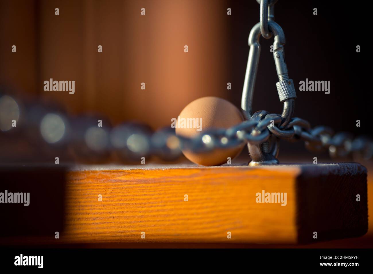 Frisch gepflückte Eier auf Holzbasis mit Frost im Winter. Nahaufnahme Stockfoto