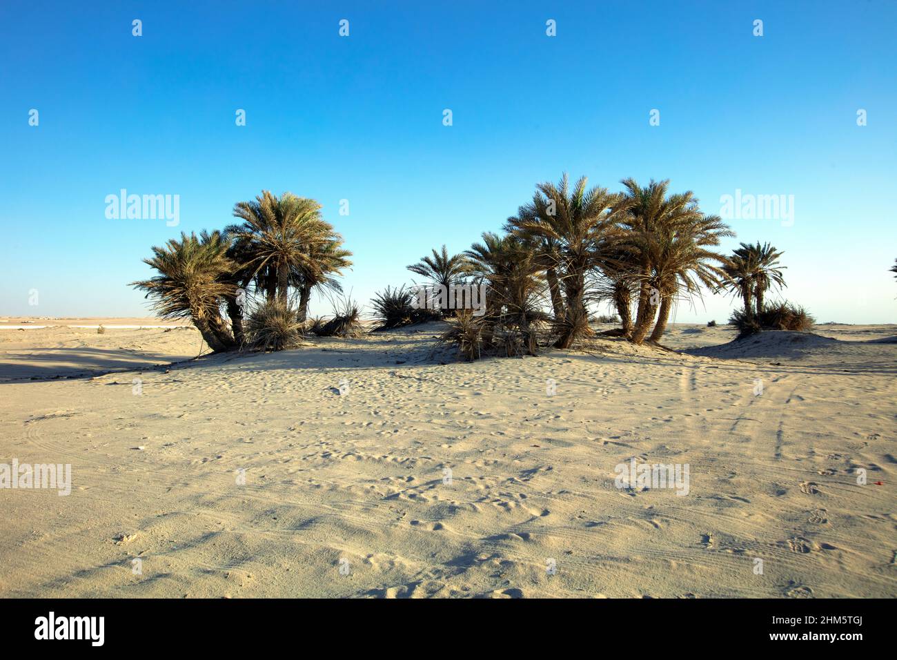 Wunderschöne Aussicht auf Umm Bab Beach QATAR Stockfoto