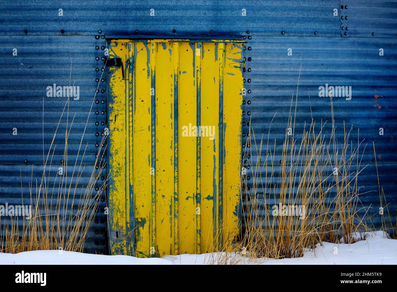Gelb lackierte Tür auf Metallkornsilo auf dem Bauernhof im Winter mit Unkraut Stockfoto