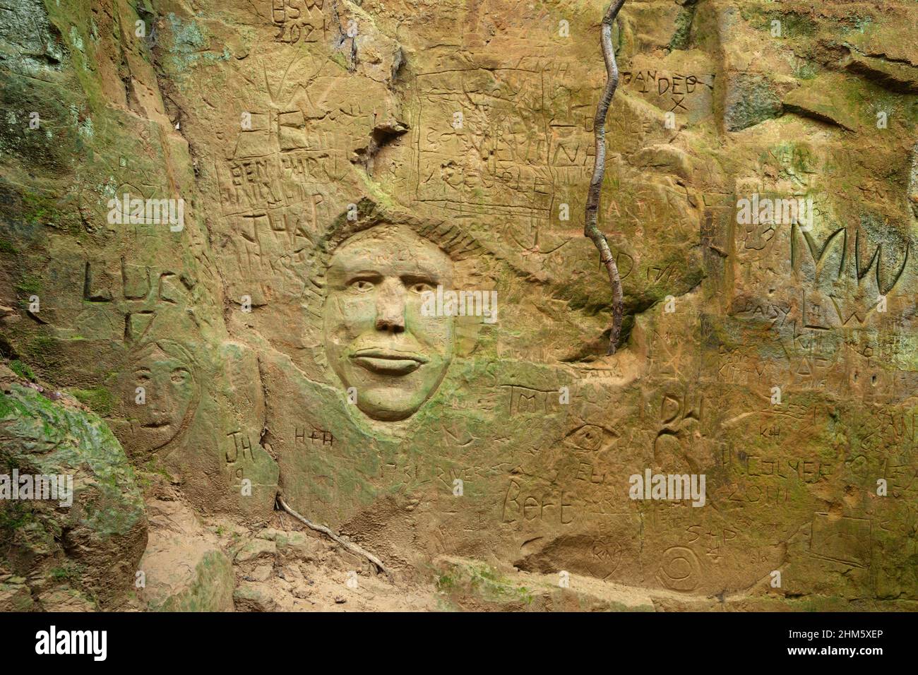 Gesichtsschnitzen und andere Graffiti auf den Sandsteinseiten eines tief versunkenen holloway. Dorset, Großbritannien. Stockfoto