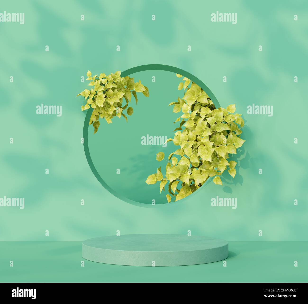 Mockup Podium für Produkt auf pastellgrünem Hintergrund mit schönen Blättern 3D Render 3D Illustration Stockfoto