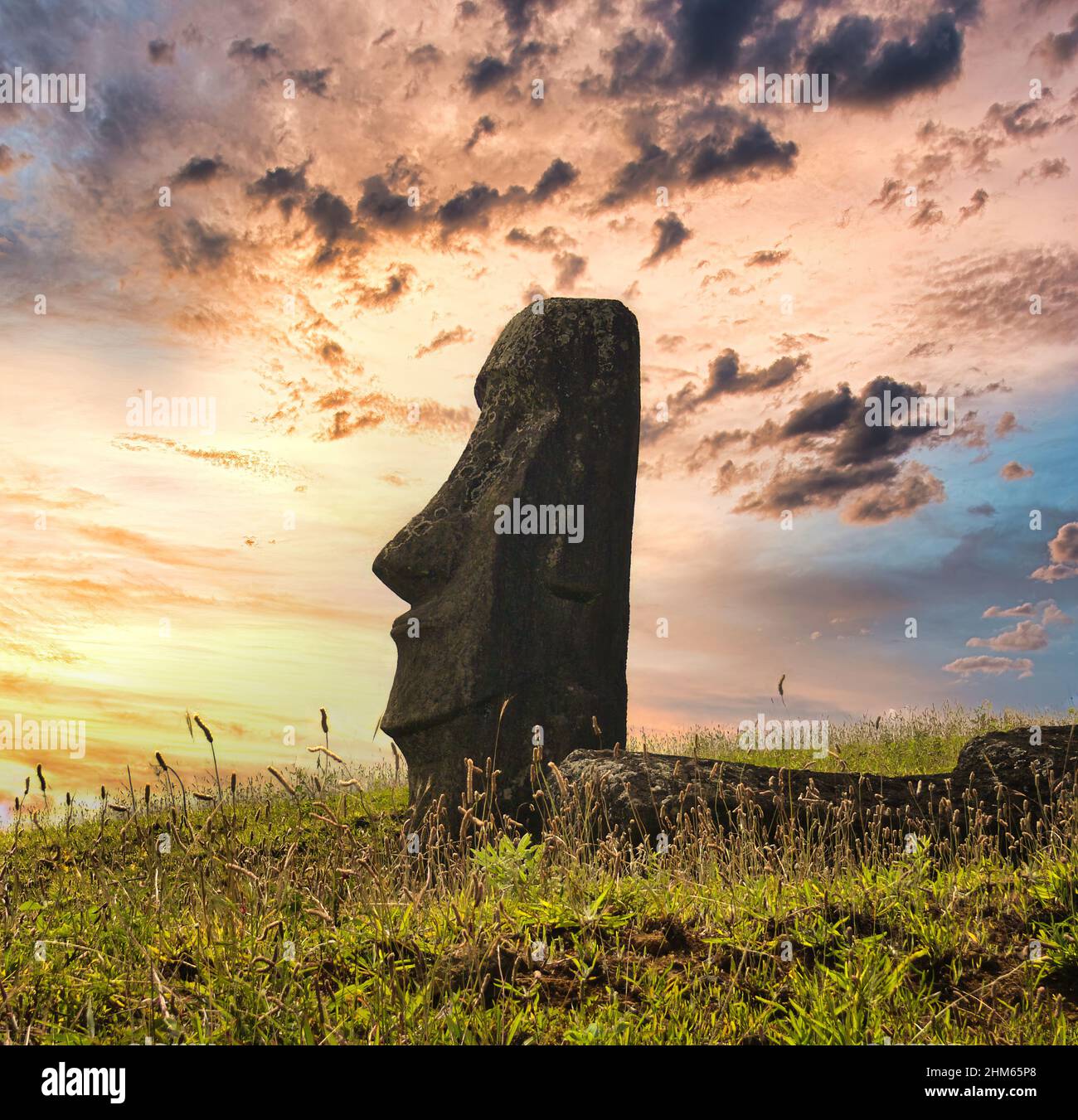 Osterinsel (Rapa Nui) eine der faszinierendsten Inseln der Welt, die sich in einer abgelegenen Inselgruppe Chiles befindet, zeichnet sich durch ihre Statuen aus. Stockfoto