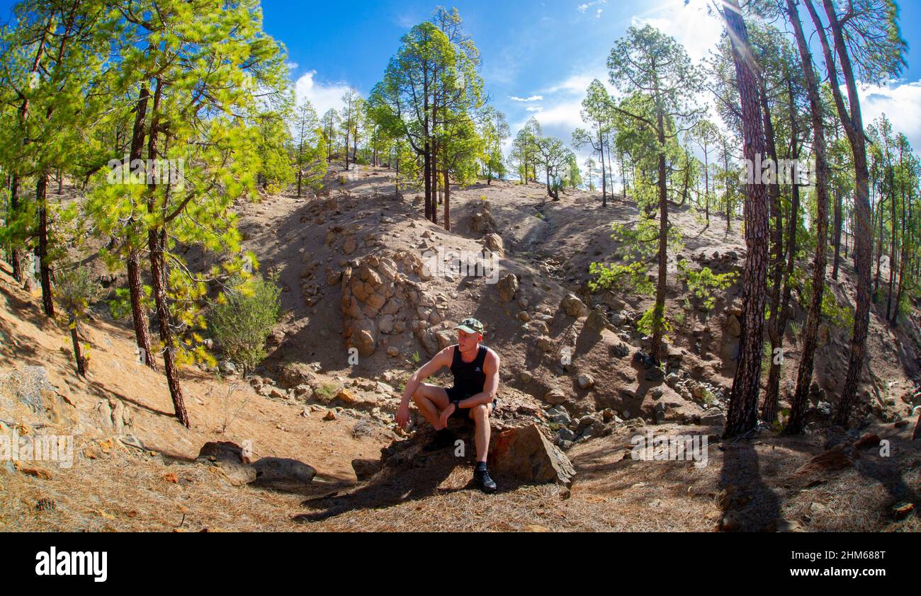 Mann, der auf Teneriffa auf einem vulkanischen Berg inmitten grüner Tannenbäume posiert Stockfoto