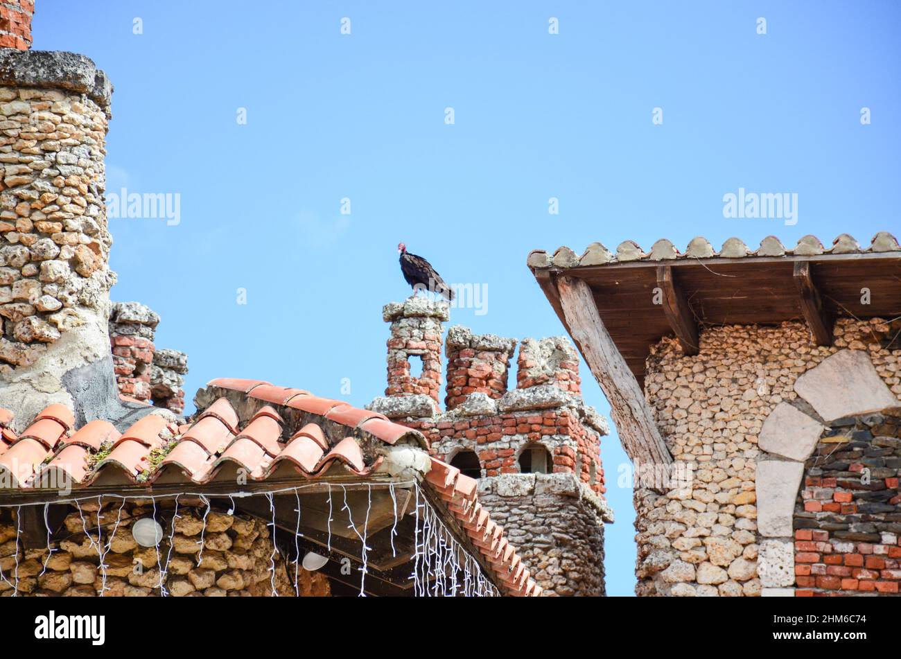 Casa de Campo, La Romana, Dominikanische Republik. 12. Januar 2022. Altos de Chavón. Ein Geier, der auf einem architektonischen Dach sitzt. Stockfoto