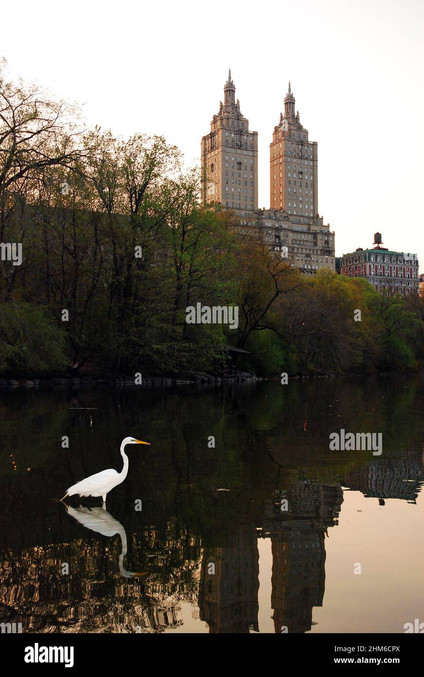 Ein Reiher verfolgt seine Beute im Central Park, in Sichtweite der Skyline von New York Stockfoto