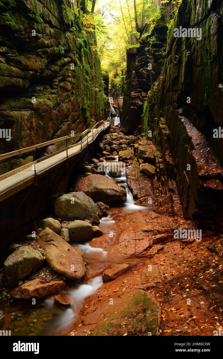 The Flume Gorge, Franconia State Park, New Hampshire Stockfoto