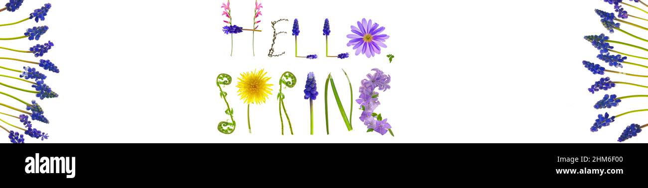 Hallo Frühling.Blumenbriefe auf weißem Hintergrund. Federbanner. Florales Alphabet. Frühling. Stockfoto