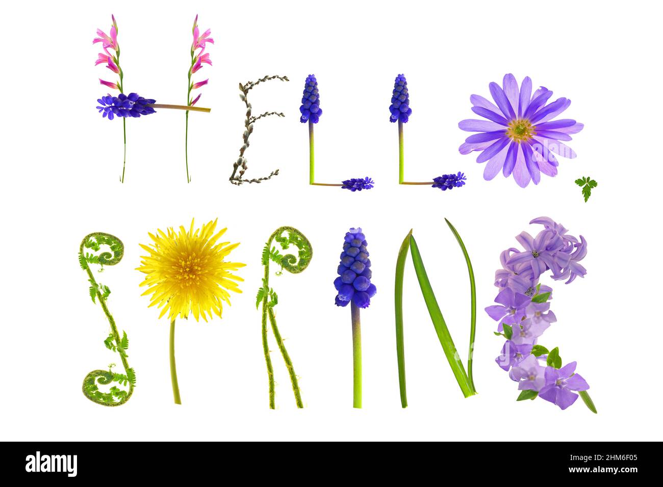 Hallo Frühling.Blumenbuchstaben isoliert auf weißem Hintergrund . Federbanner. Florales Alphabet. Frühling. Stockfoto