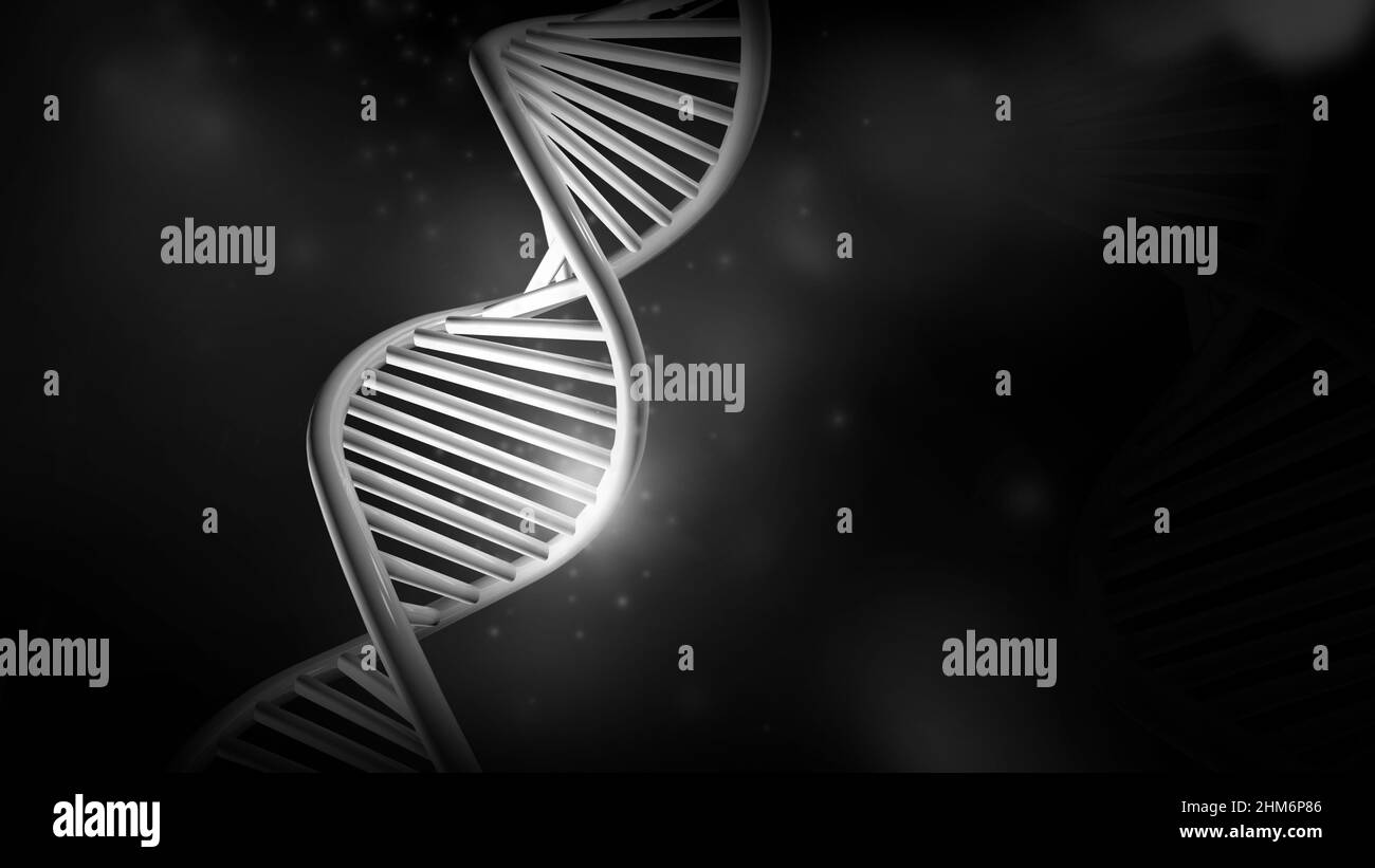 DNA-Doppelhelix-Modell auf schwarzem Hintergrund, 3D Render. Stockfoto